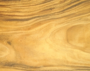 ModernWood Texture