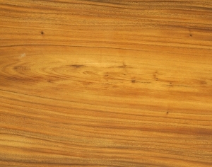 ModernWood Texture