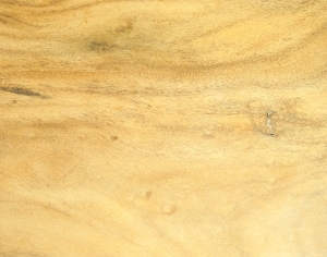 ModernWood Texture
