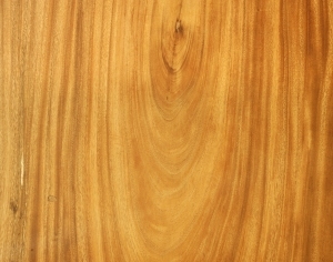 ModernWood Texture