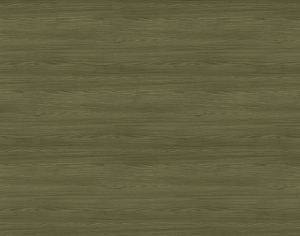 ModernWood Texture