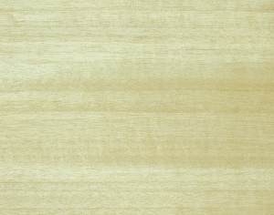 ModernWood Texture