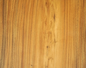 ModernWood Texture