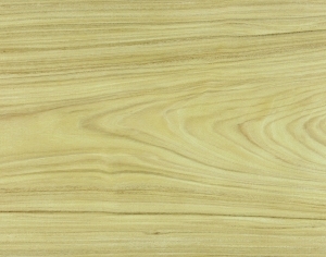ModernWood Texture