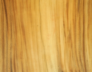 ModernWood Texture