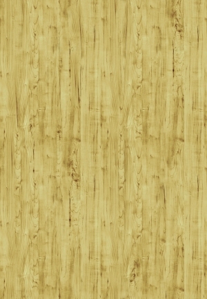 ModernWood Texture