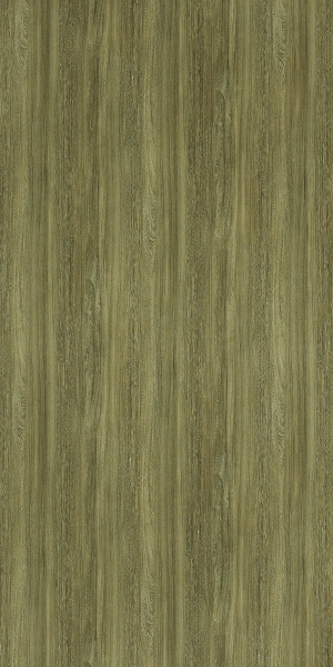 ModernWood Texture