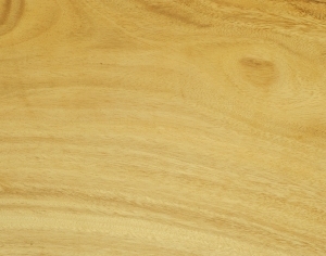 ModernWood Texture