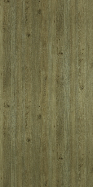 ModernWood Texture