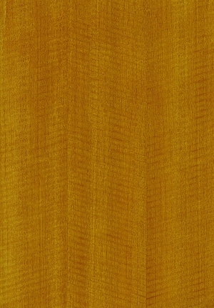 ModernWood Texture