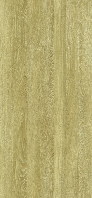 ModernWood Texture