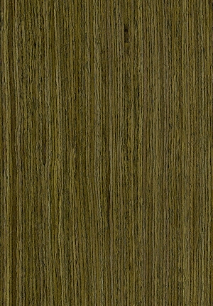 ModernWood Texture