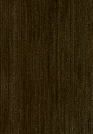ModernWood Texture