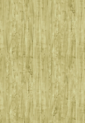 ModernWood Texture