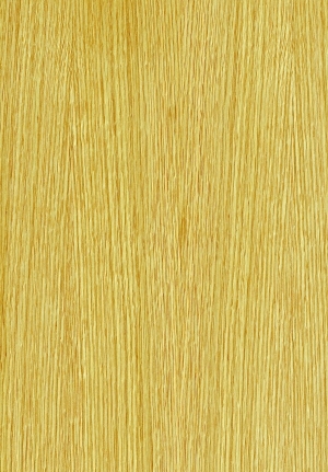 ModernWood Texture