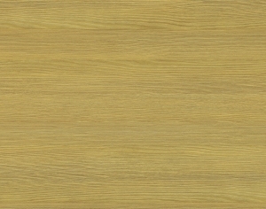 ModernWood Texture