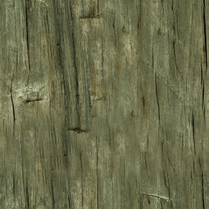 ModernWood Texture