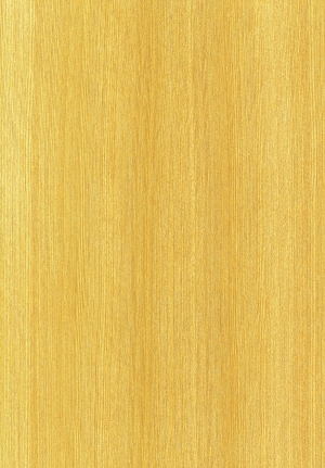 ModernWood Texture