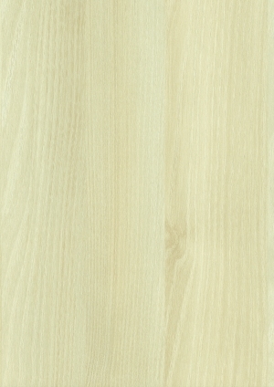 ModernWood Texture