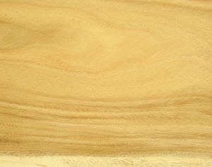 ModernWood Texture
