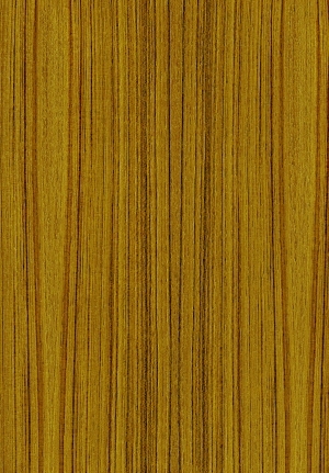 ModernWood Texture