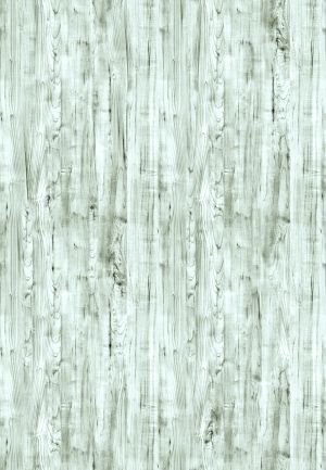 ModernWood Texture