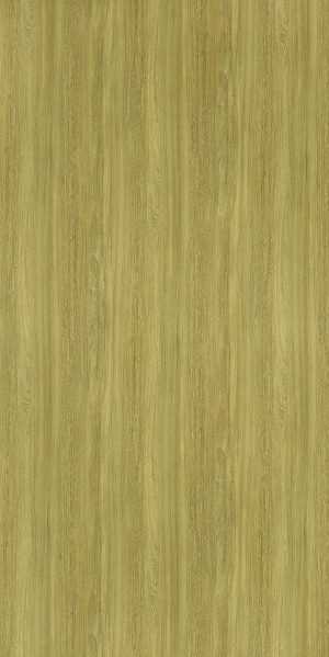 ModernWood Texture