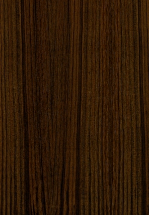 ModernWood Texture