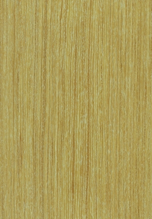 ModernWood Texture