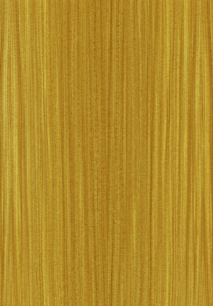 ModernWood Texture