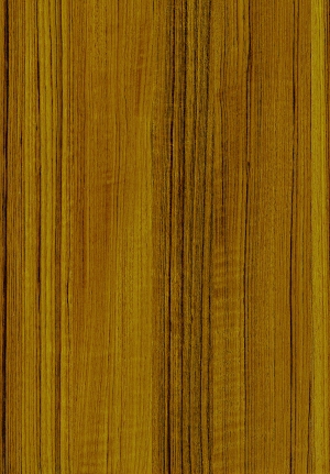 现代木纹-ID:558676007