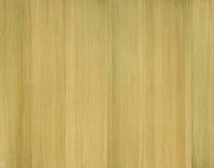 ModernWood Texture