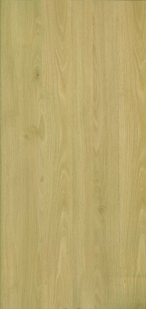 ModernWood Texture