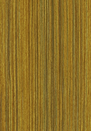 ModernWood Texture