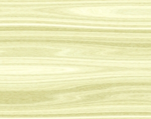 ModernWood Texture