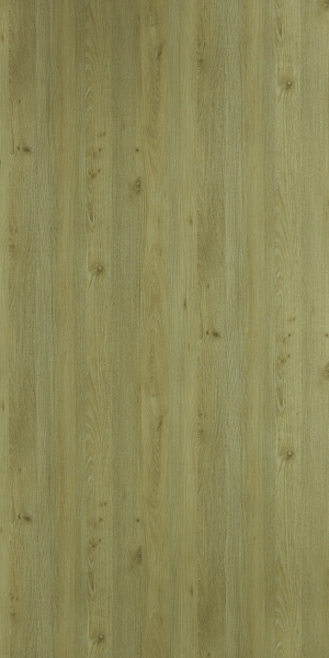 ModernWood Texture