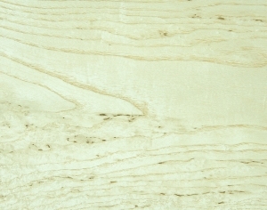 ModernWood Texture
