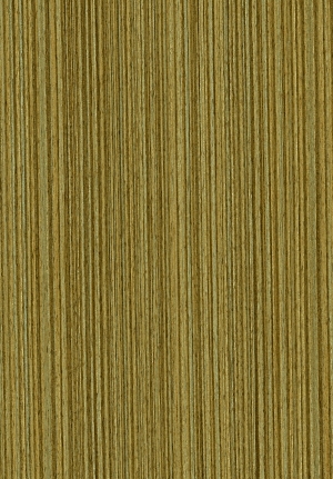 ModernWood Texture