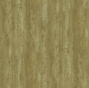 ModernWood Texture