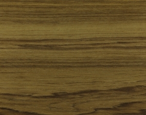 ModernWood Texture