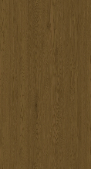 ModernWood Texture