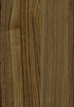 ModernWood Texture
