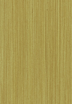 ModernWood Texture