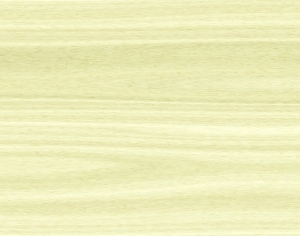 ModernWood Texture