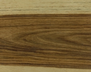 ModernWood Texture