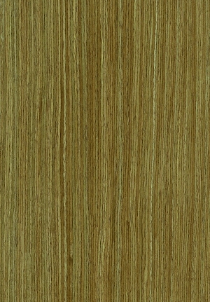 ModernWood Texture