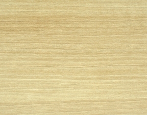 ModernWood Texture