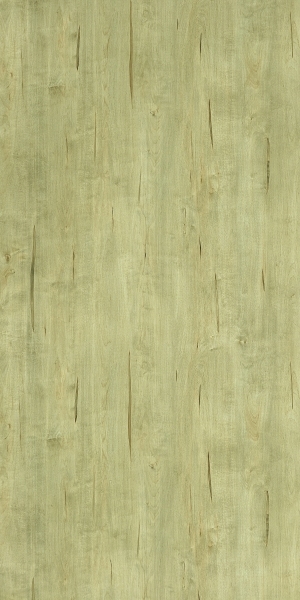 ModernWood Texture