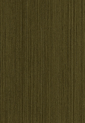 ModernWood Texture