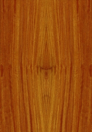 ModernWood Texture
